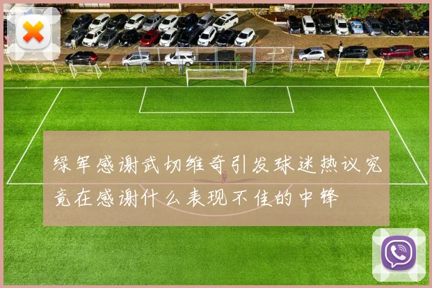 绿军感谢武切维奇引发球迷热议究竟在感谢什么表现不佳的中锋